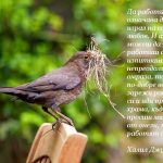 понеделнишки работно и малко вдъхновяващо pile2
