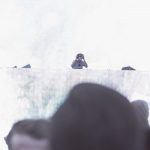 avicii